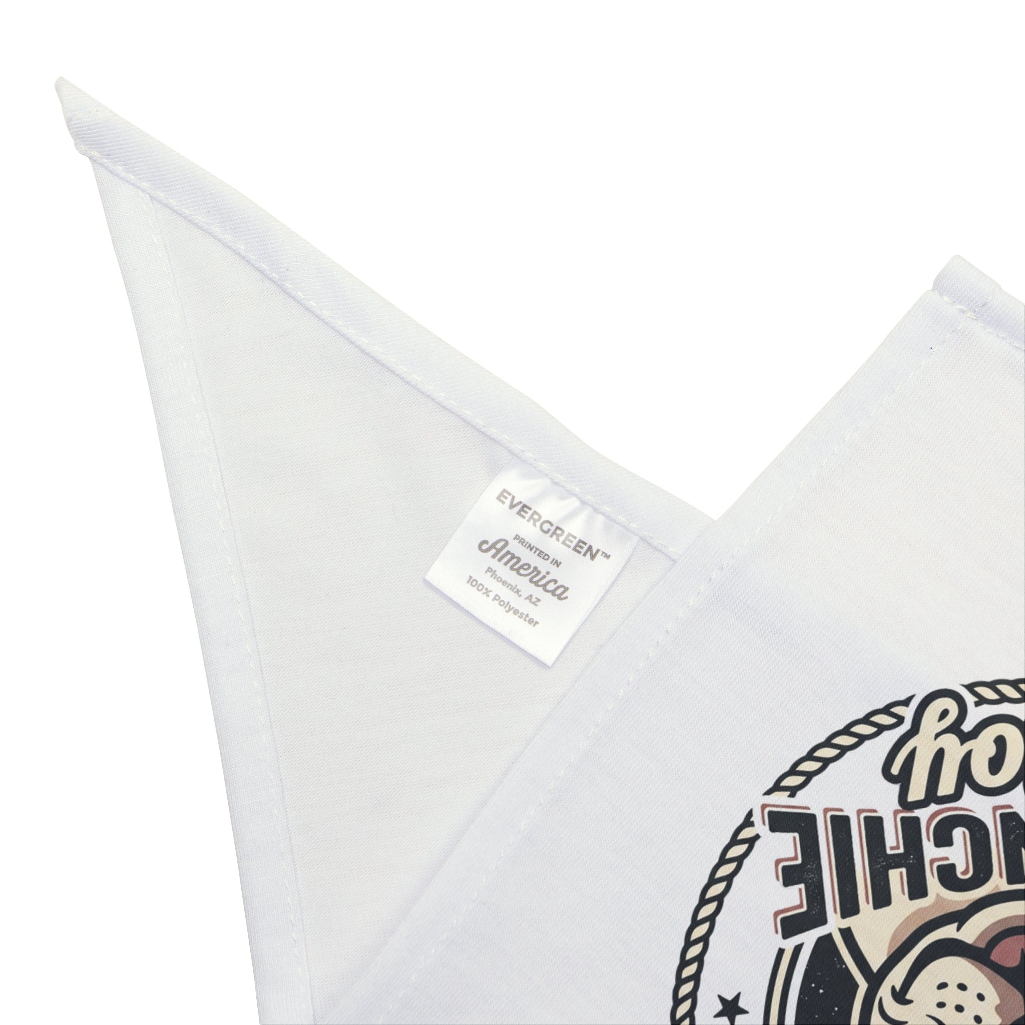 Pet Frenchie Boy Bandana